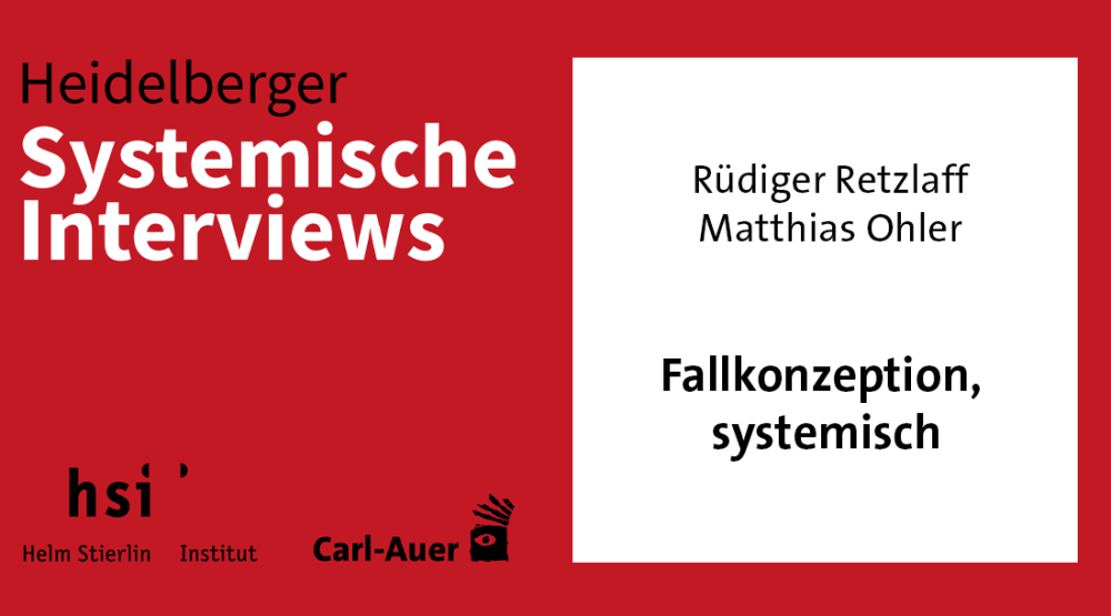 Fallkonzeption, systemisch