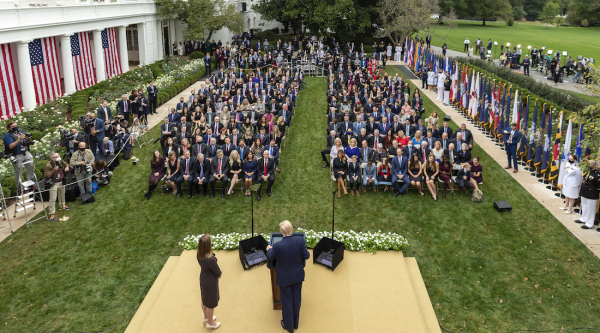Viren vs. Ideen - einige Unterschiede und Gemeinsamkeiten