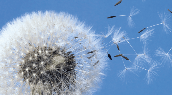 Diagnose Krebs – die Rolle der Reisebegleiter