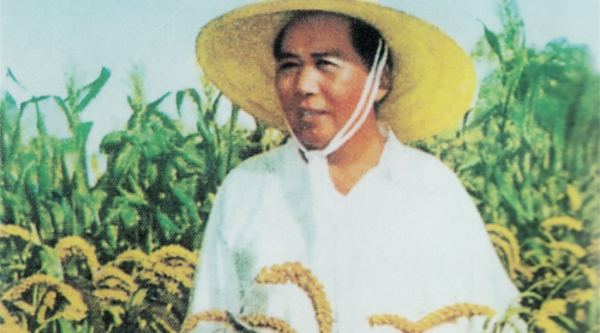 Dysfunktionen der Hierarchie: Coronavirus und "Der Große Sprung nach vorn"