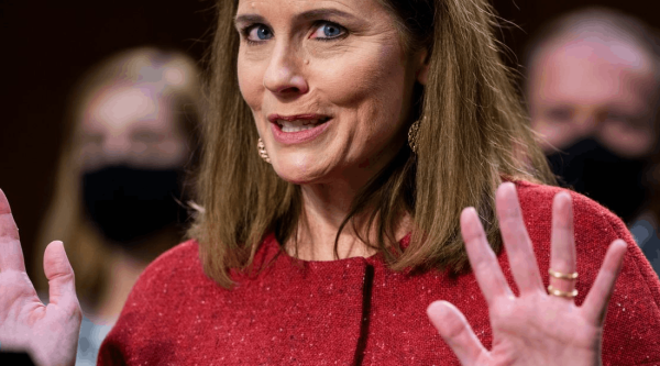 Baretts Körpersprache im Senatsausschuss, oder: Eulen nach Athen tragen