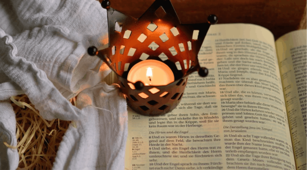 Lesung aus dem Buch Carl an die Systemiker