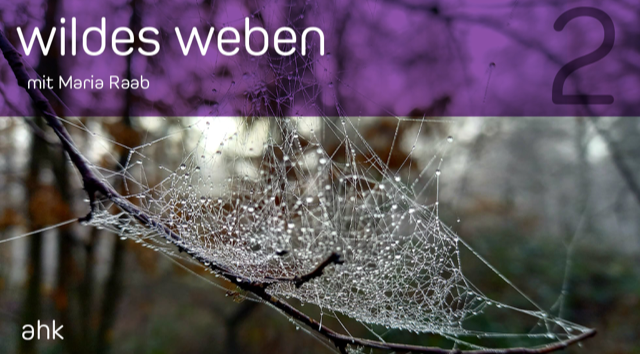Tragetaschentheorie