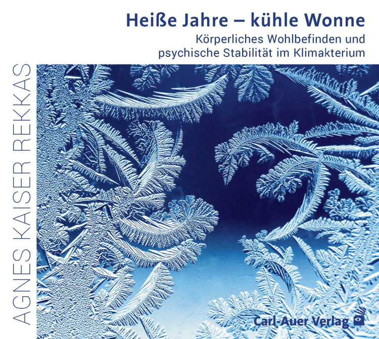 Umschlag:Heiße Jahre – kühle Wonne