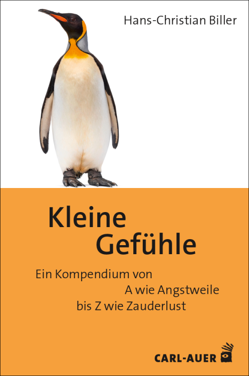 Umschlag:Kleine Gefühle