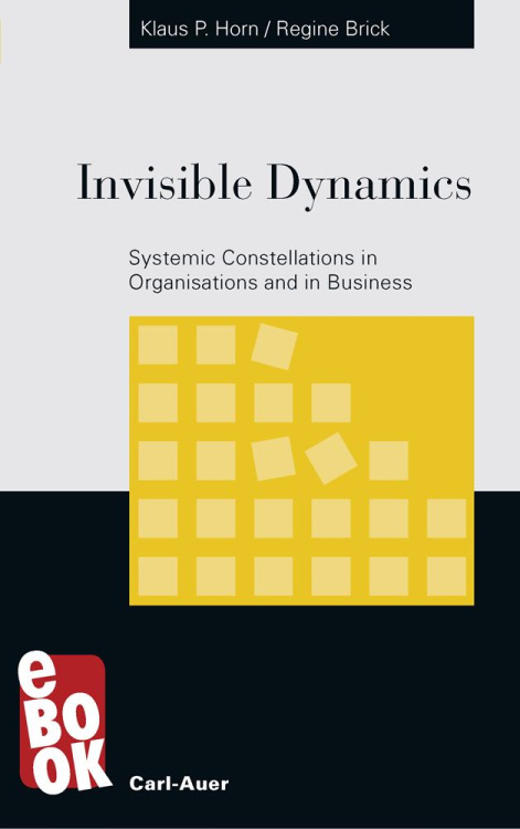 Umschlag:Invisible Dynamics