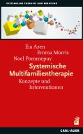 Systemische Multifamilientherapie