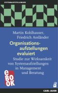 Organisationsaufstellungen evaluiert