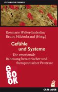 Gefühle und Systeme