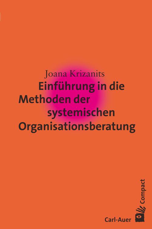 Einführung in die Methoden der systemischen Organisationsberatung