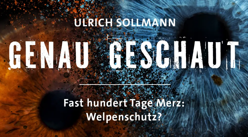 Fast hundert Tage Merz: Welpenschutz?