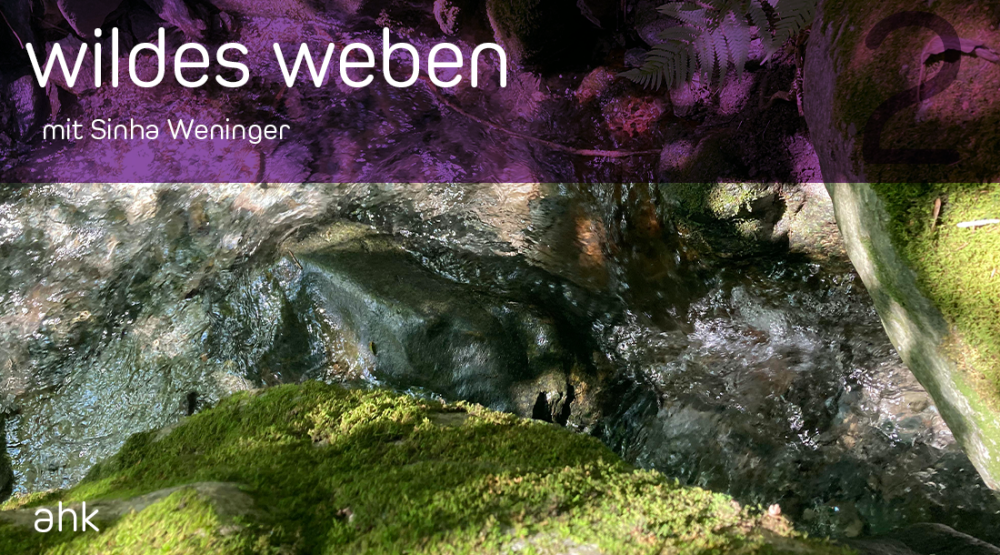 Gesang der Schnecke