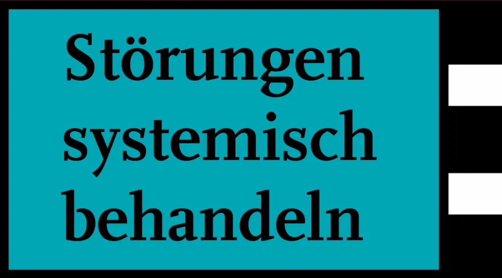 Anerkannte Schriften: Störungen systemisch behandeln