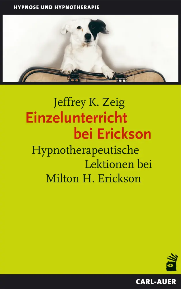 Umschlag:Einzelunterricht bei Erickson