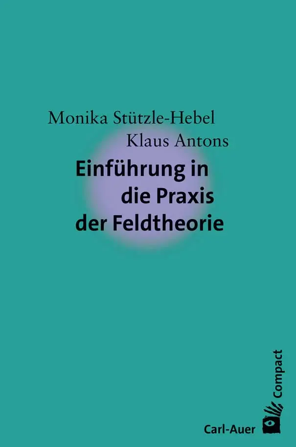 Umschlag:Einführung in die Praxis der Feldtheorie