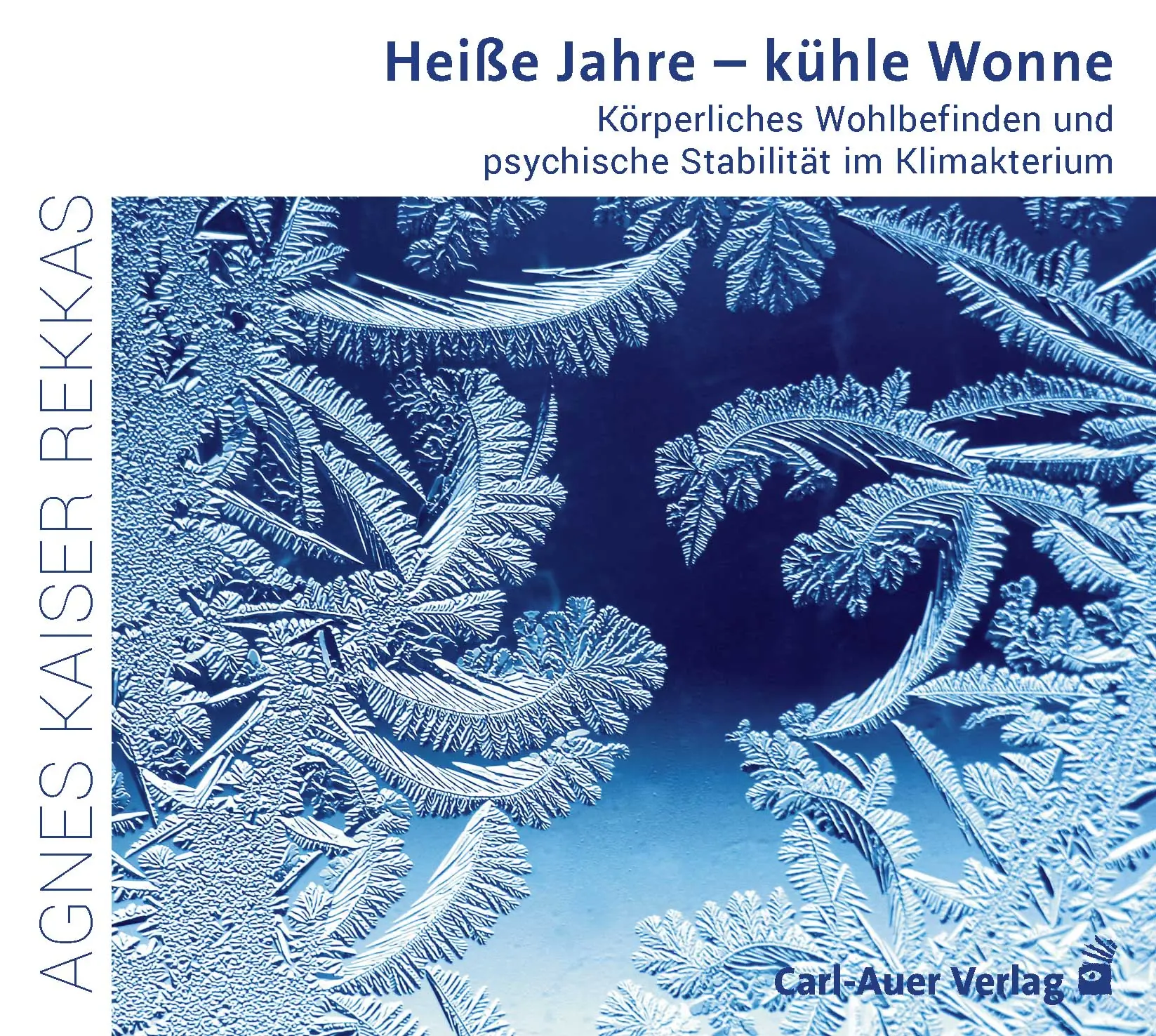 Umschlag:Heiße Jahre – kühle Wonne