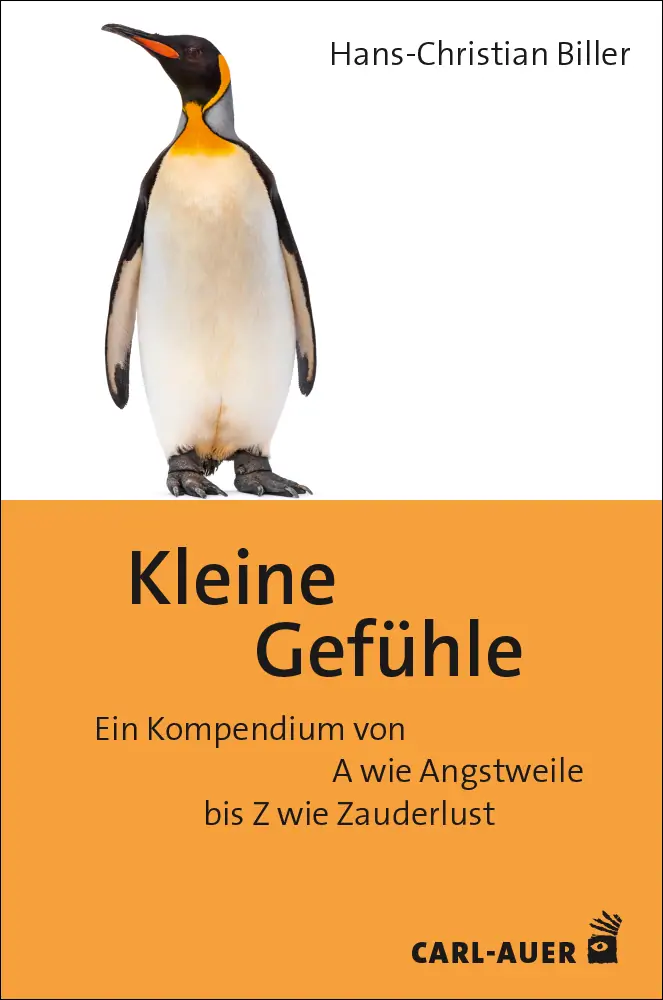 Umschlag:Kleine Gefühle