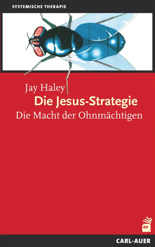 Umschlag:Die Jesus-Strategie