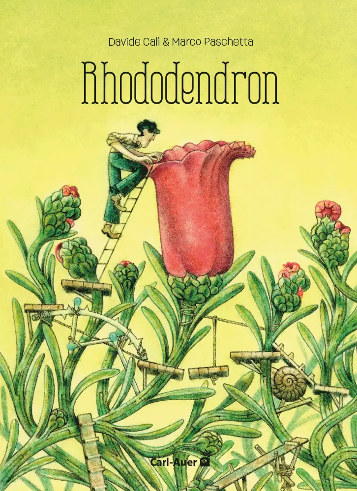 Umschlag:Rhododendron