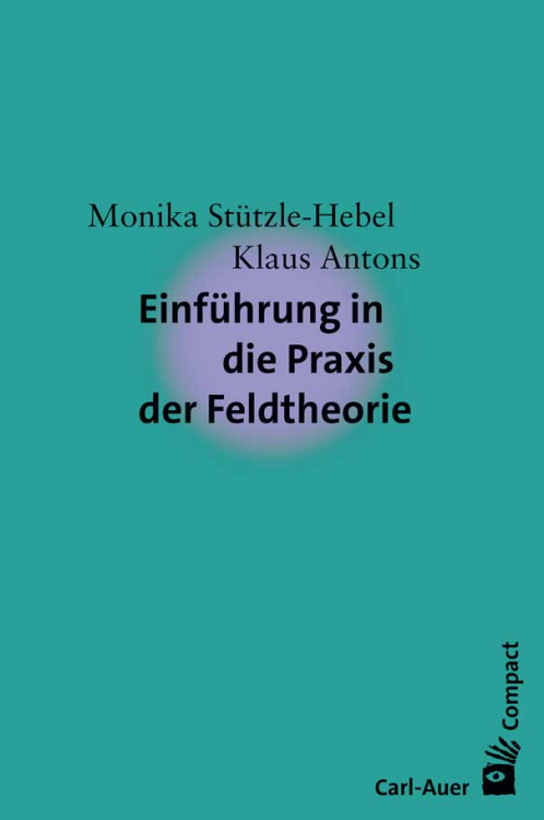 Umschlag:Einführung in die Praxis der Feldtheorie