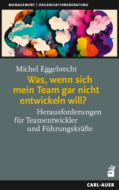 Umschlag:Was, wenn sich mein Team gar nicht entwickeln will?