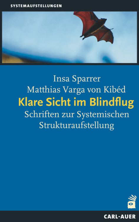 Umschlag:Klare Sicht im Blindflug