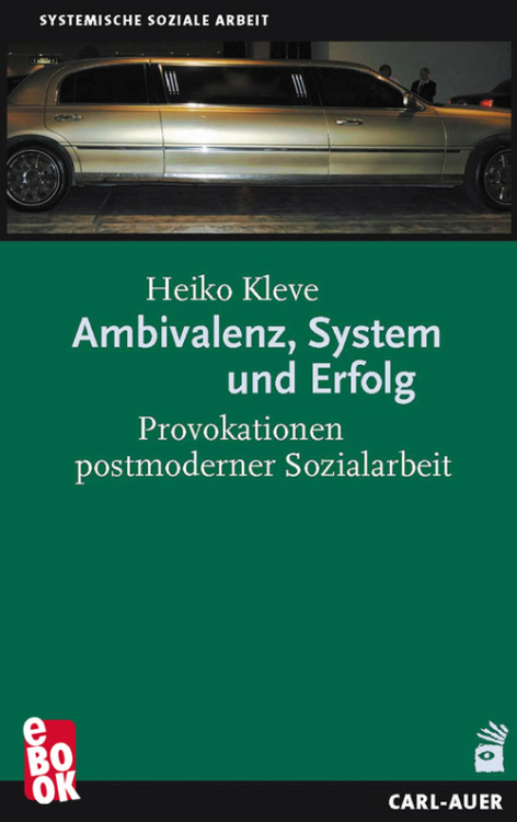 Umschlag:Ambivalenz, System und Erfolg