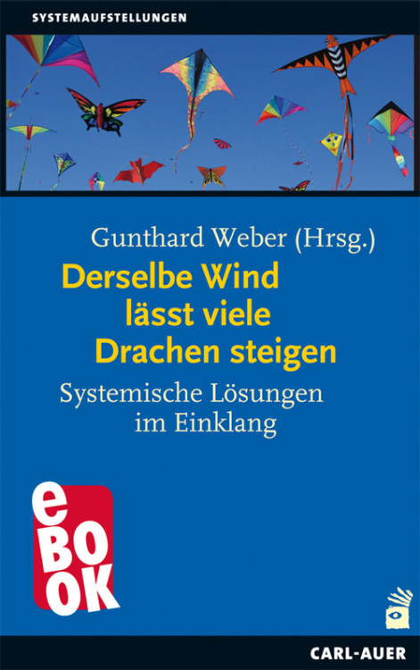 Umschlag:Derselbe Wind lässt viele Drachen steigen