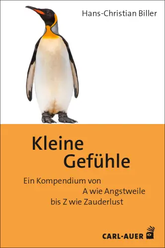 Umschlag:Kleine Gefühle