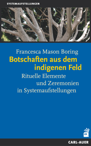 Umschlag:Botschaften aus dem indigenen Feld