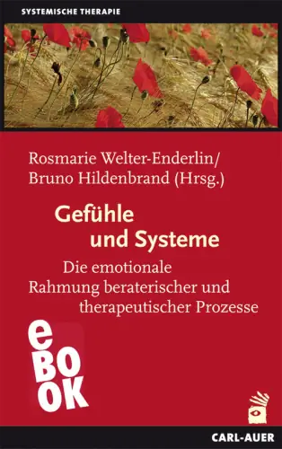Umschlag:Gefühle und Systeme