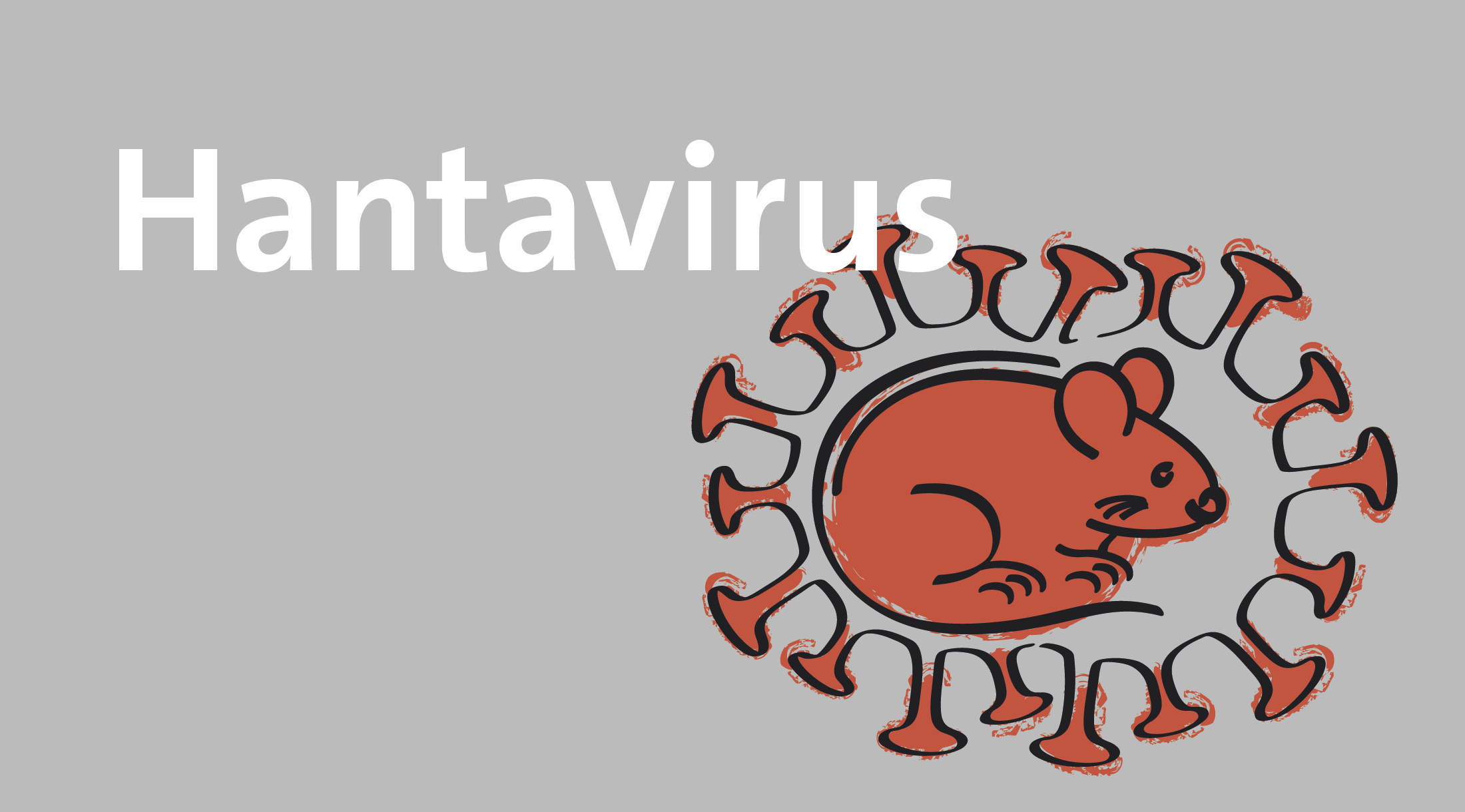 Hantavirus