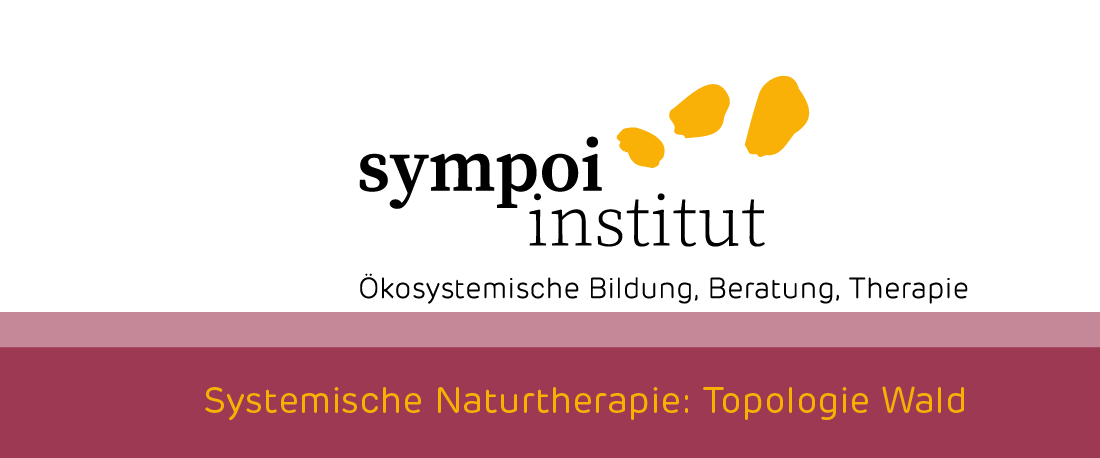 Wald und Mensch: Naturmodul und Weiterbildung