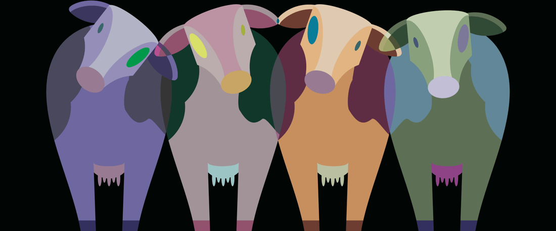 Bitte umsteigen: Alltägliche Problemtrancen in Lösungswelten verwandeln!