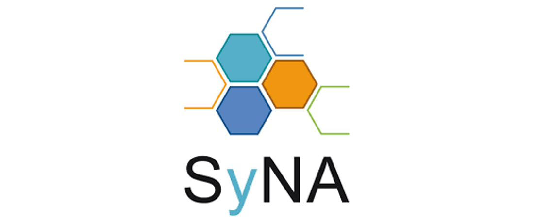 SyNA-Tagung 2021